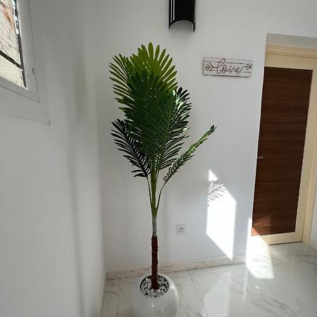 Magnifique Villa Avec Piscine Sur L'Ile De Djerba 훔트 수크 외부 사진
